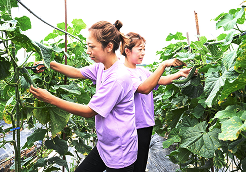 ママ目線の野菜づくり